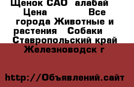 Щенок САО (алабай) › Цена ­ 10 000 - Все города Животные и растения » Собаки   . Ставропольский край,Железноводск г.